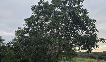 6469- L KAWAIHAU Rd, Kapaa, HI 96746