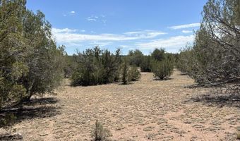 21 Off Of Cooks Trl, Ash Fork, AZ 86320