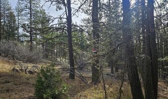Seal Lane 8, Bonanza, OR 97623