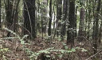LAKESIDE LANE lot 21, Alpine, AL 35014