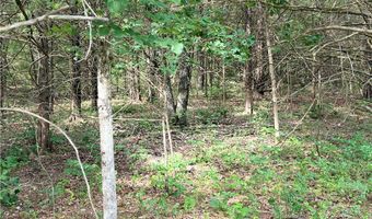 Seaton Drive lot 10, Bella Vista, AR 72714