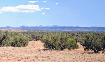 Lot 44 Ranch Of The White Mountains N9119, Concho, AZ 85924