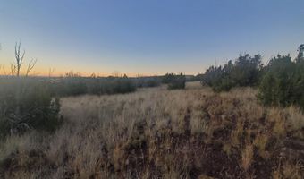 1 COUNTY ROAD N8155, Concho, AZ 85924