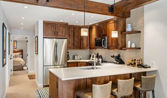 610 S West End St G204, Aspen, CO 81611