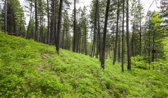 616 Ranch Rd, Bigfork, MT 59911