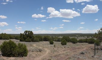 N8190, Concho, AZ 85924