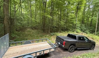 9999 Countryside Est, Barnardsville, NC 28709