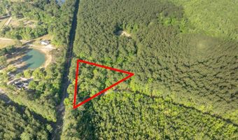 Ethridge Drive, Andrews, SC 29510