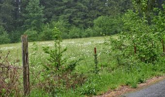 NE 389th St, Amboy, WA 98601