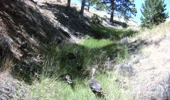 00 Olde English, Casper, WY 82646