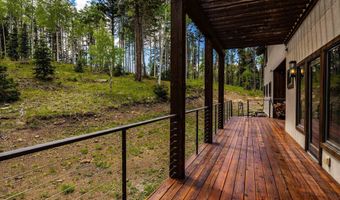 25 Los Alamos Cir, Angel Fire, NM 87710