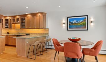 980 E Hyman Avenue 3, Aspen, CO 81611