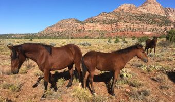 E Rnch RD, Apple Valley, UT 84737