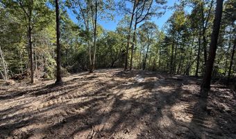 0 Slasham Rd, Ashville, AL 35953