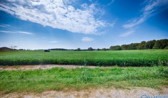 30 Acres Stevenson Rd, Ardmore, TN 38449