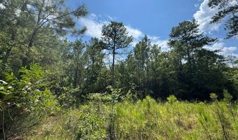 1324 Highway 81 N, Calhoun Falls, SC 29628