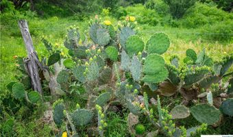 La Vernia Road, Adkins, TX 78101