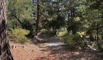 0 Ca-38, Angelus Oaks, CA 92305