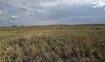 BUGGY RD, Carpenter, WY 82054