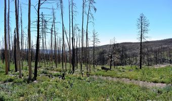 2025 Granite Rd, Bellvue, CO 80512
