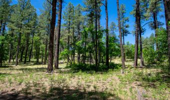 13 County Road N 2122, Alpine, AZ 85920