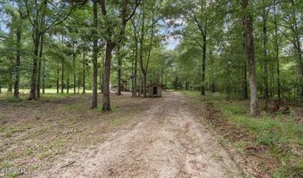 161 Goshen Springs Ln, Brandon, MS 39047