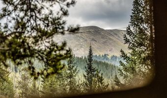 17 Blue Grouse Trl, Blue River, CO 80424