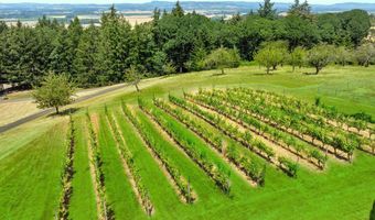 8580 SE HILLVIEW Dr, Amity, OR 97101