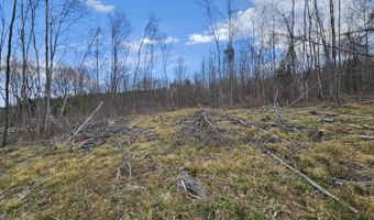 295 Shellstone Rd, Amsterdam, NY 12010