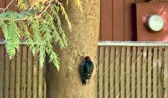 21191 E COUNTRY CLUB Rd, Brightwood, OR 97011