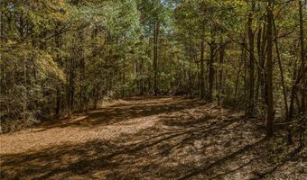 335 Wages Rd, Auburn, GA 30011