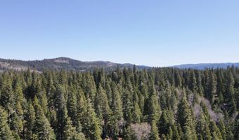 403 Sierra Pkwy, Camp Connell, CA 95223