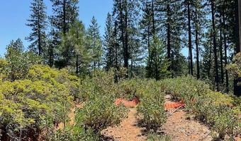 1943 Lightning Ln, Arnold, CA 95223