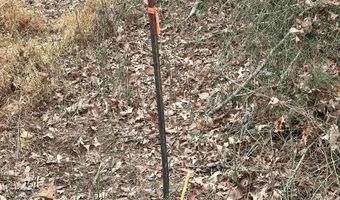ELLY RD lot 50 81, Aroda, VA 22709