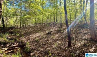 LANDFILL ROAD lot 1, Ashland, AL 36251