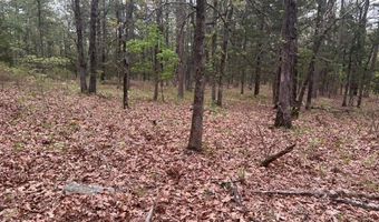 UNIT # 263B KIAMICHI WILDERNESS RD Unit # 63 63, Antlers, OK 74523
