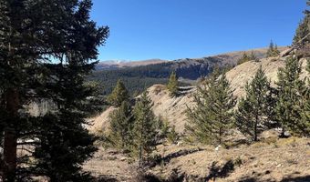 0 County Road 787, Alma, CO 80420