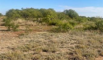 6525 E 180, Anson, TX 75901