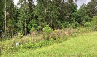 E HWY 16 Highway, Amite, LA 70422