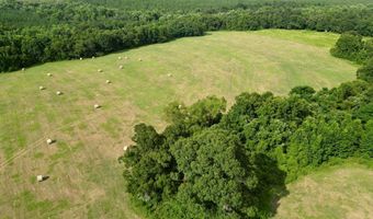 County Road 127, Banks, AL 36005