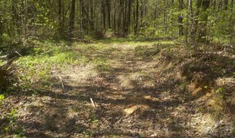 Steve Brown Road, Bean Station, TN 37708