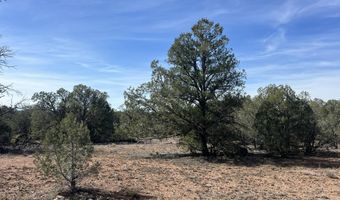 5 Deer Droppings, Ash Fork, AZ 86320