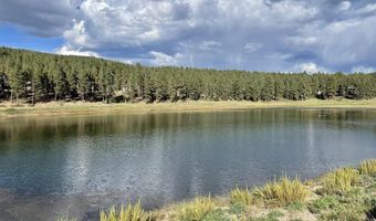 259 Hillside Cir, Bayfield, CO 81122
