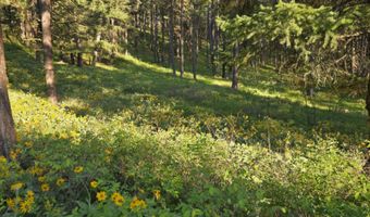 Nhn Profile Rock, Alberton, MT 59820