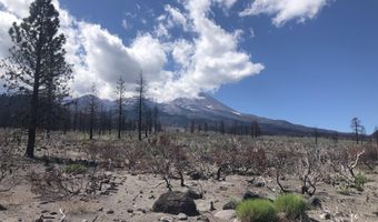 440 Acres North Slope Of Mount Shasta, Weed, CA 96094