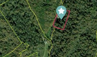 257 Cricket Ln, Beattyville, KY 41311