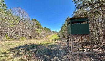 3 County Road 5112, Ethel, MS 38829