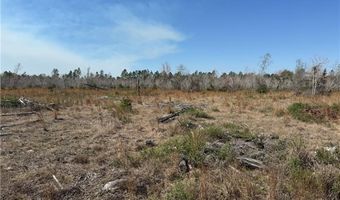 0 35.01 Acres Bacon School Rd, Alma, GA 31510