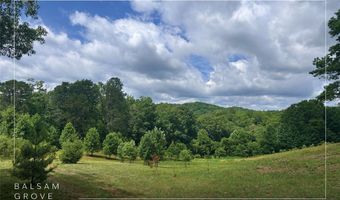 132 Jason McCall Cemetary Rd Lot 2, Balsam Grove, NC 28708