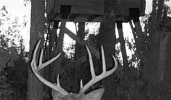 Off Hwy F, Annapolis, MO 63620